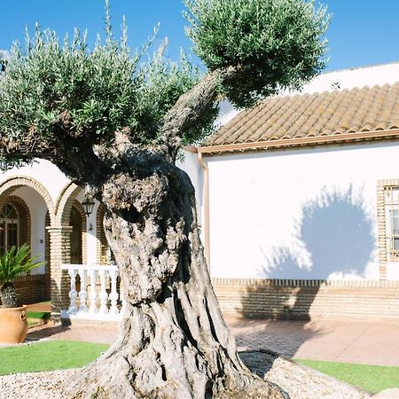 Casa Luxury "El Olivo De Cordoba" Con Jacuzzi Y Parking Privado Vendégház Kültér fotó