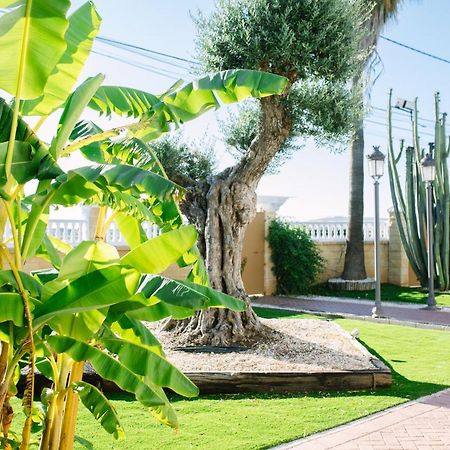 Casa Luxury "El Olivo De Cordoba" Con Jacuzzi Y Parking Privado Vendégház Kültér fotó