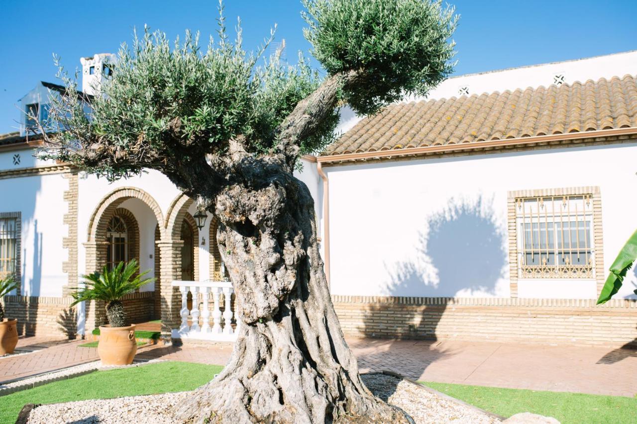 Casa Luxury "El Olivo De Cordoba" Con Jacuzzi Y Parking Privado Vendégház Kültér fotó