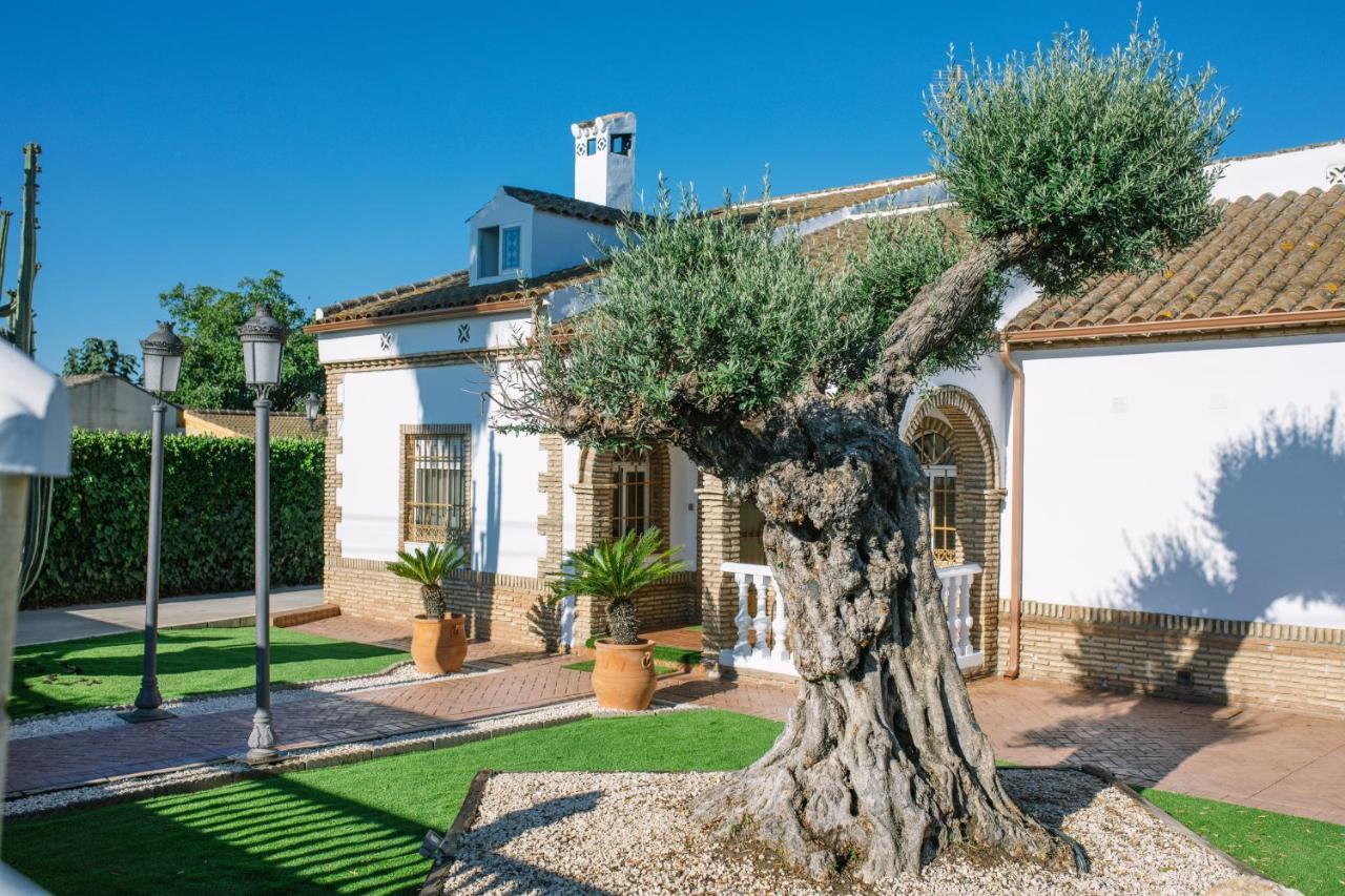 Casa Luxury "El Olivo De Cordoba" Con Jacuzzi Y Parking Privado Vendégház Kültér fotó